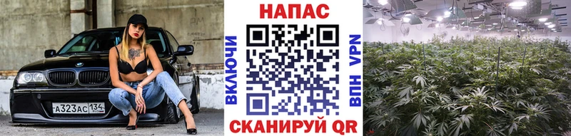 Магазин наркотиков Удомля Гашиш  АМФ  APVP  Псилоцибиновые грибы  мега tor  МАРИХУАНА  Меф мяу мяу  Cocaine 