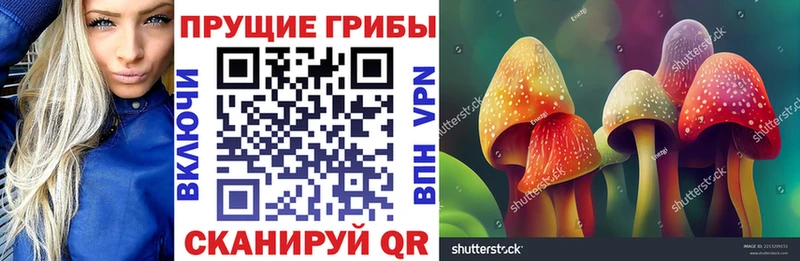 Псилоцибиновые грибы Cubensis  Удомля 